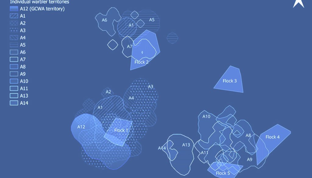 02destaca-Strategies-of-space-use-ago-2026