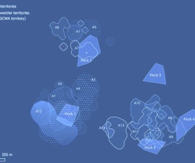 02destaca-Strategies-of-space-use-ago-2026