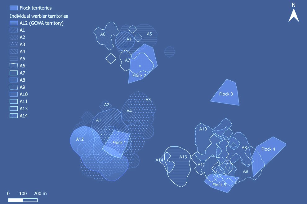 02destaca-Strategies-of-space-use-ago-2026