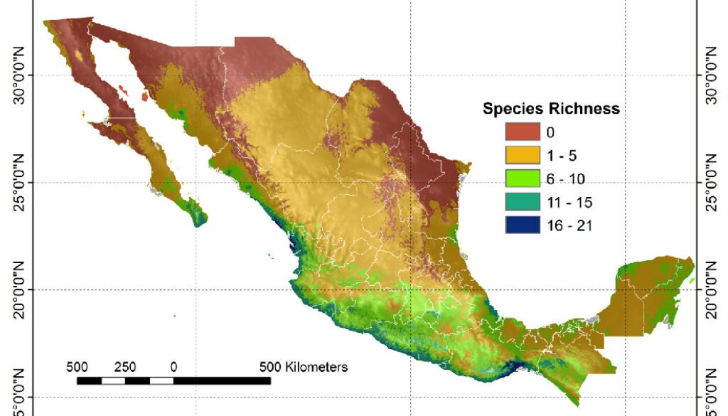 02destaca-longhorn-beetles-oct-2025