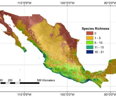 02destaca-longhorn-beetles-oct-2025