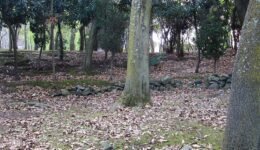 02destaca-tardigrades-from-Mexico-jun-2025