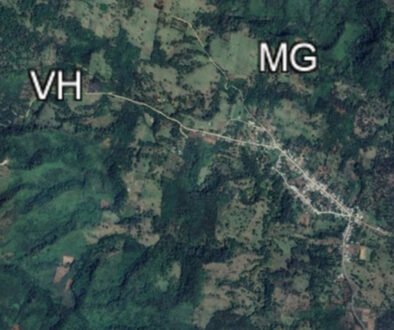 03destaca-Avifauna-of-cloud-forest-oct-2025