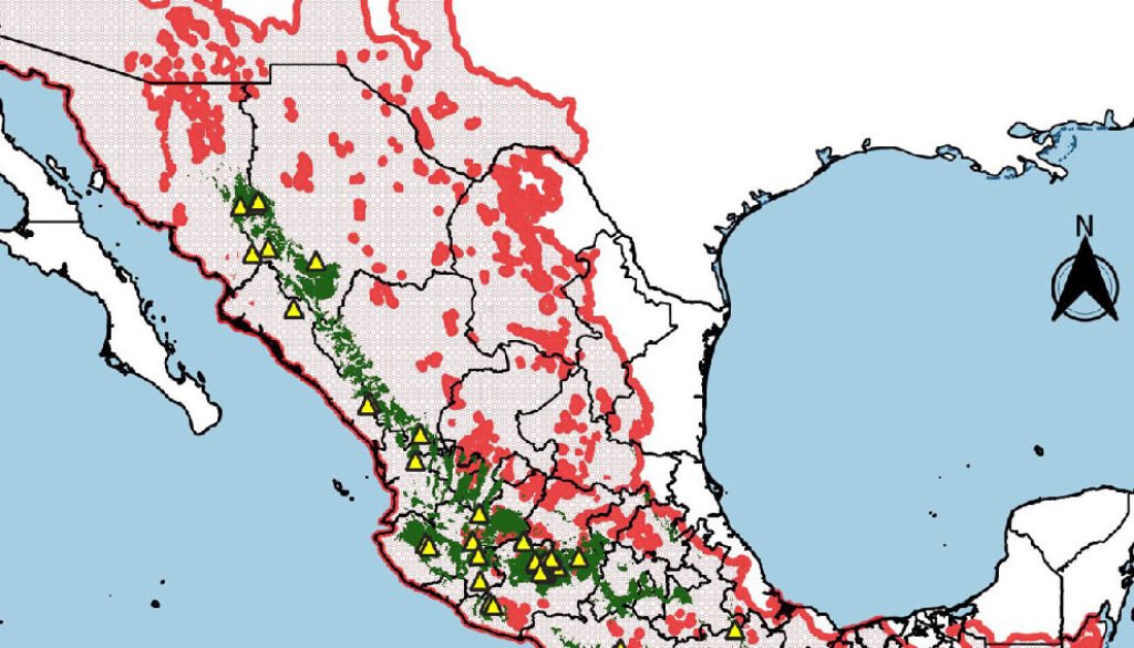 03destaca-Wild-chia-jun-2026