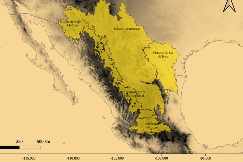 03destaca-pastos-oct-2024