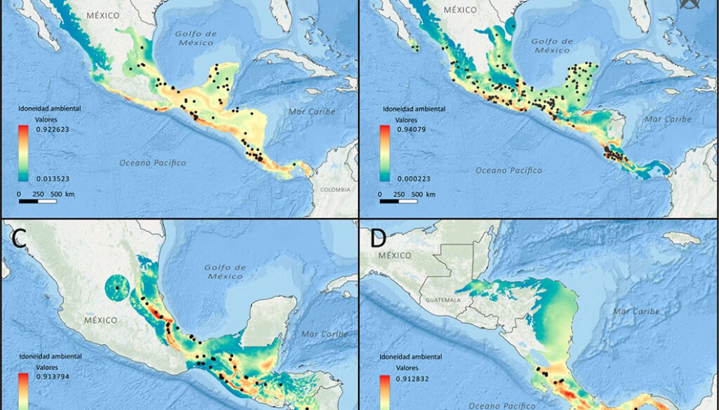 04destaca-Conservadurismo-de-nicho-ecológico-ene-2026