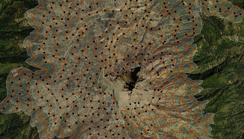 04destaca-Dendroctonus-adjunctus-supl-2025