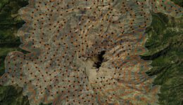 04destaca-Dendroctonus-adjunctus-supl-2025