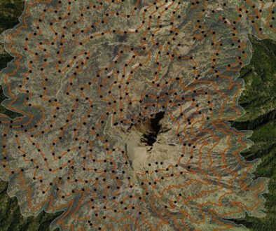 04destaca-Dendroctonus-adjunctus-supl-2025