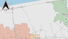 04destaca-insectos-en-niveles-diferentes-oct-2025