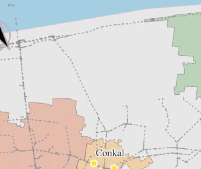 04destaca-insectos-en-niveles-diferentes-oct-2025