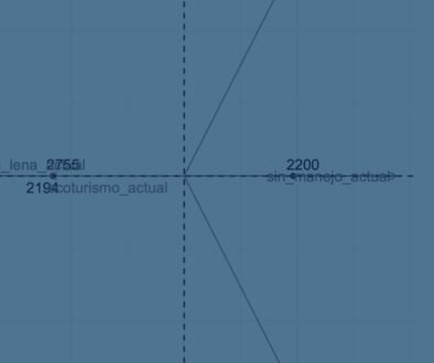 05destaca-escarabajos-descortezadores-supl-2025