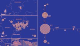 05destaca-nematode-Metaparasitylenchus-ago-2025