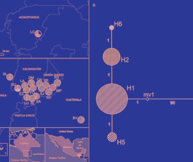 05destaca-nematode-Metaparasitylenchus-ago-2025