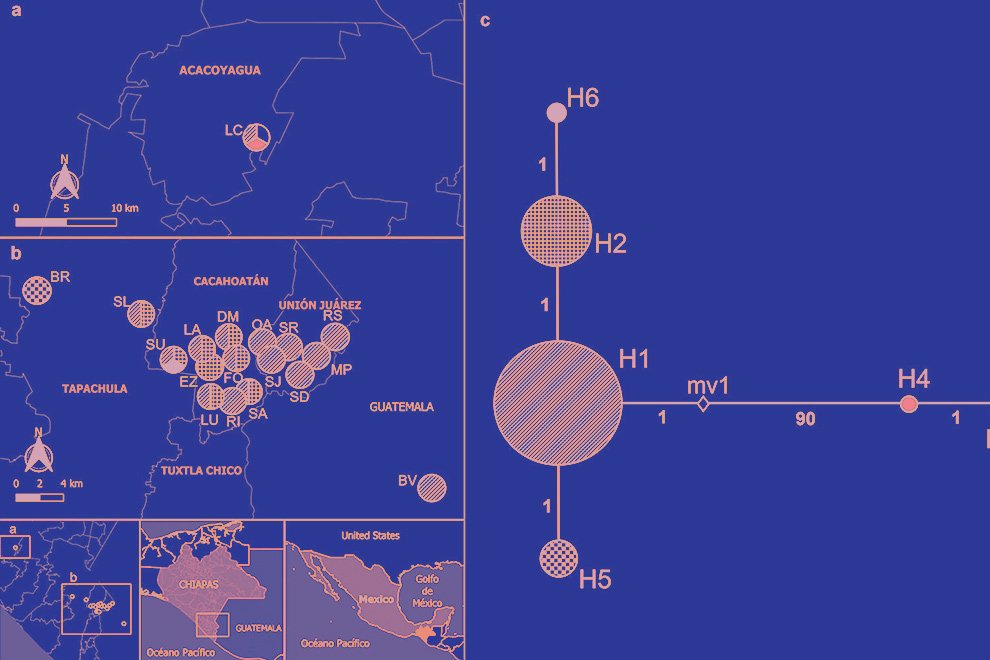05destaca-nematode-Metaparasitylenchus-ago-2025