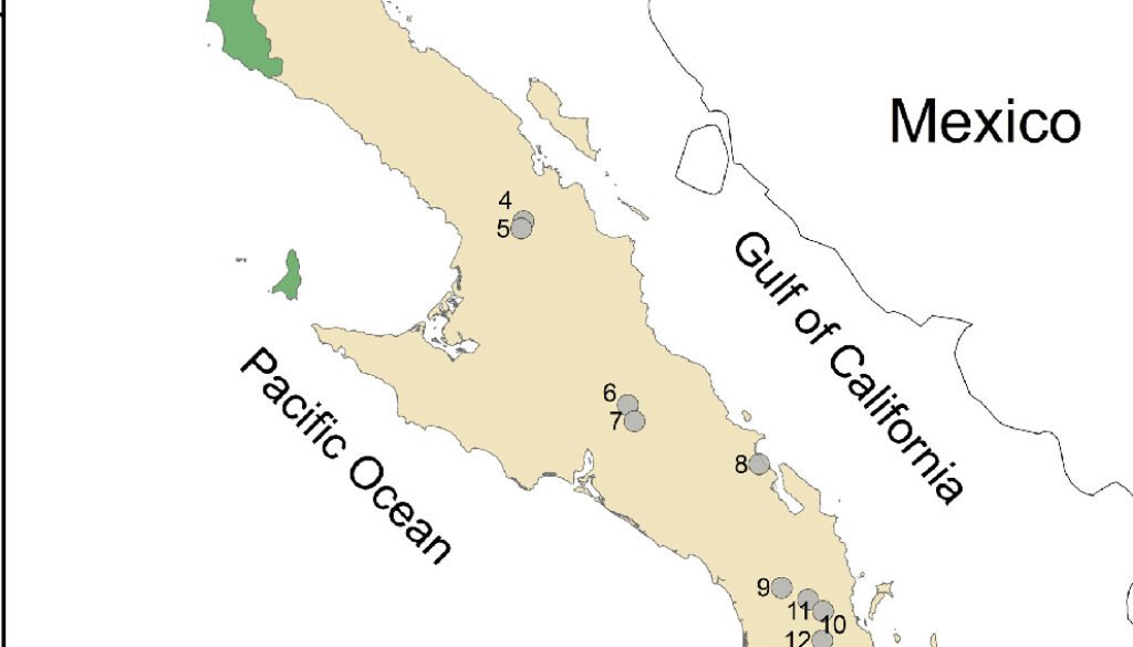 05destaca-plant-ene-2025