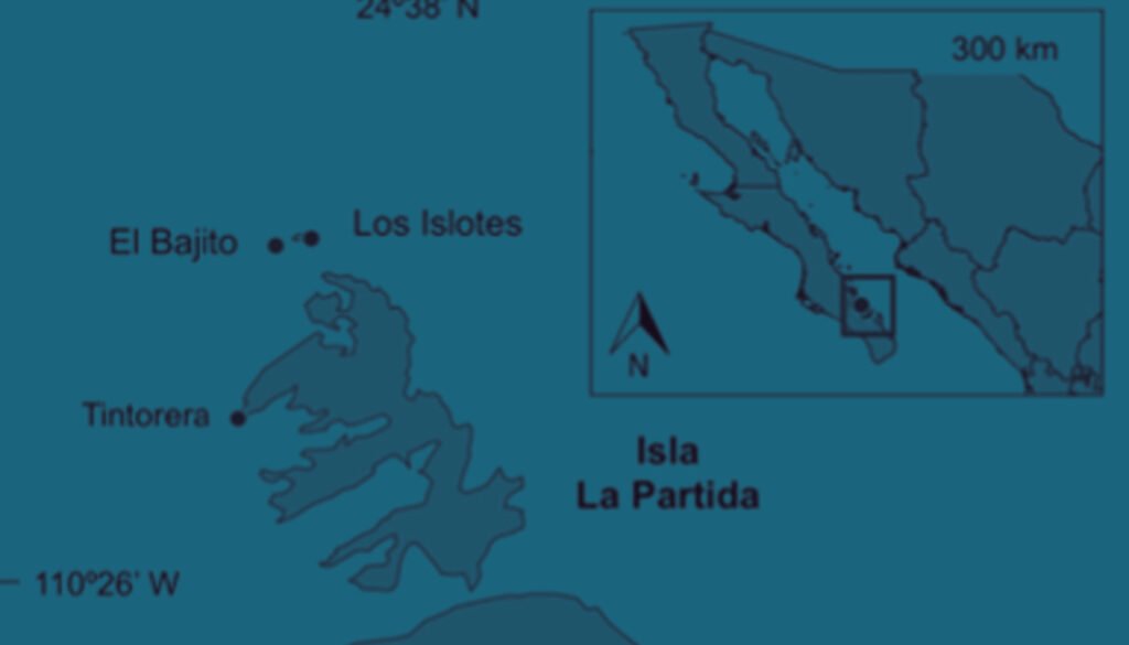 06destaca-Acanthaster-planci-ene-2026