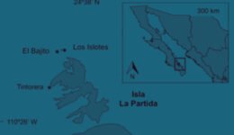 06destaca-Acanthaster-planci-ene-2026