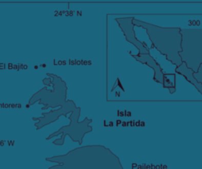 06destaca-Acanthaster-planci-ene-2026