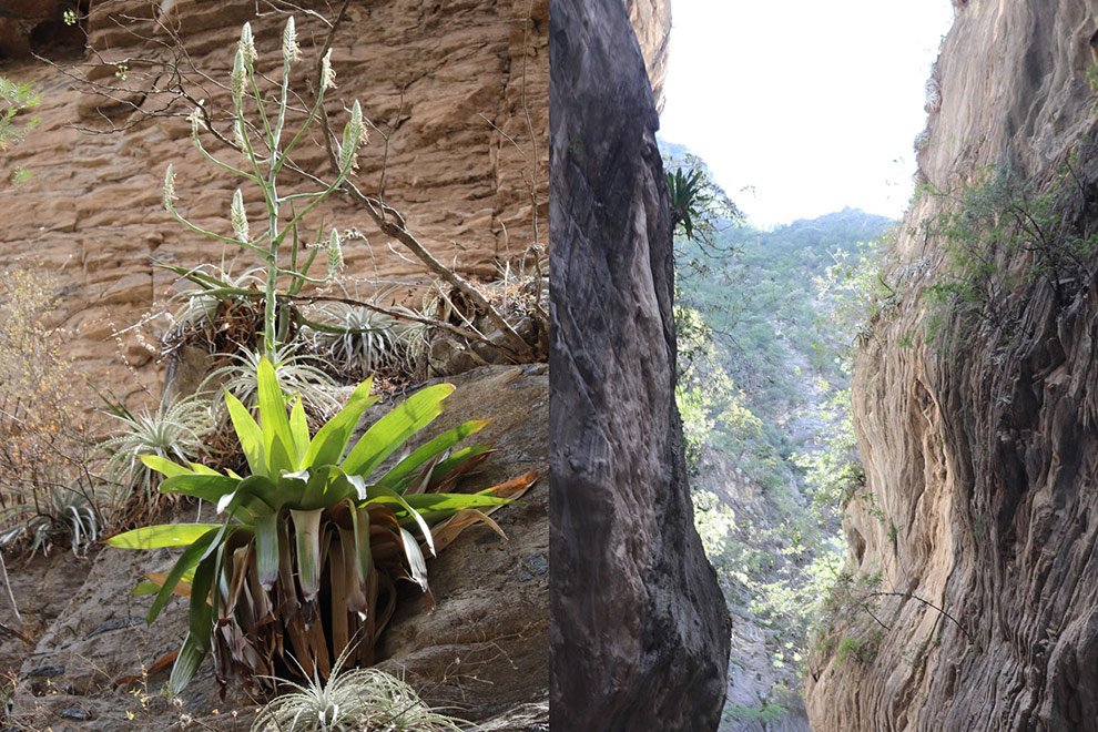 06destaca-Eukaryotic-diversity-and-trophic-ago-2025