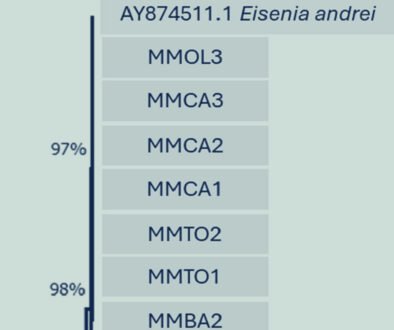06destaca-Identificacion-molecular-lombrices-jun-2026