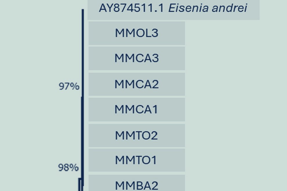 06destaca-Identificacion-molecular-lombrices-jun-2026