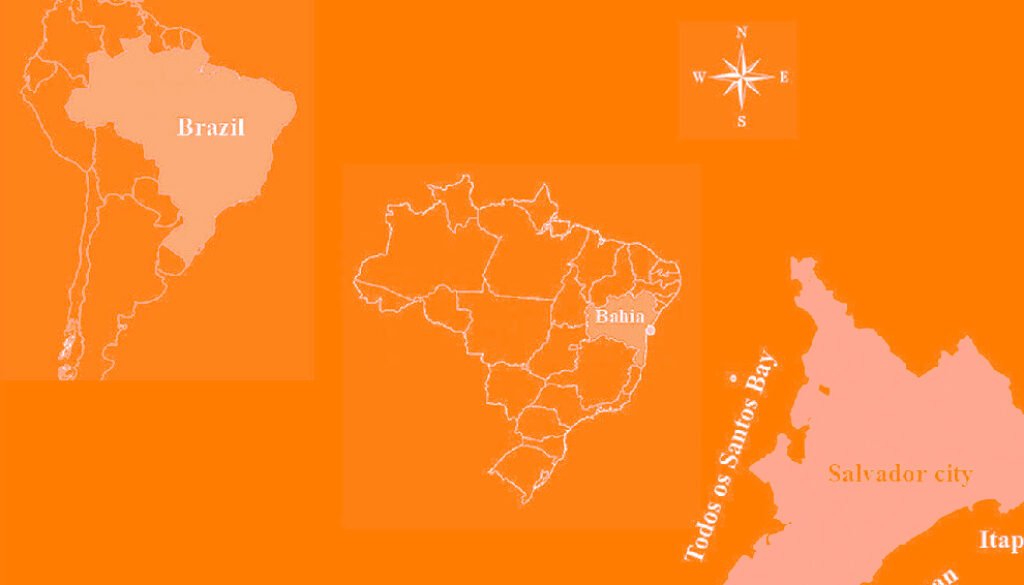 07destaca-Macroalgae-assemblages-oct-2025