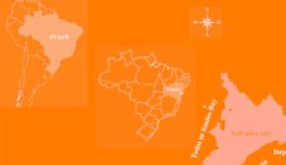 07destaca-Macroalgae-assemblages-oct-2025