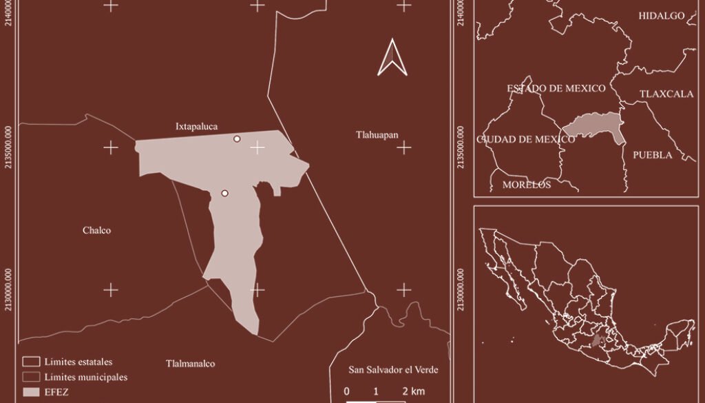 07destaca-Pinus-montezumae-ene-2026