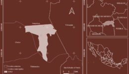 07destaca-Pinus-montezumae-ene-2026