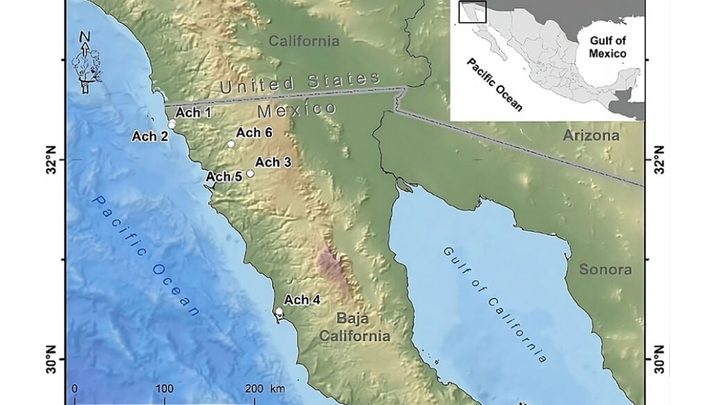 08destaca-Mitogenome-Golden-Eagle-ago-2025