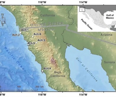 08destaca-Mitogenome-Golden-Eagle-ago-2025