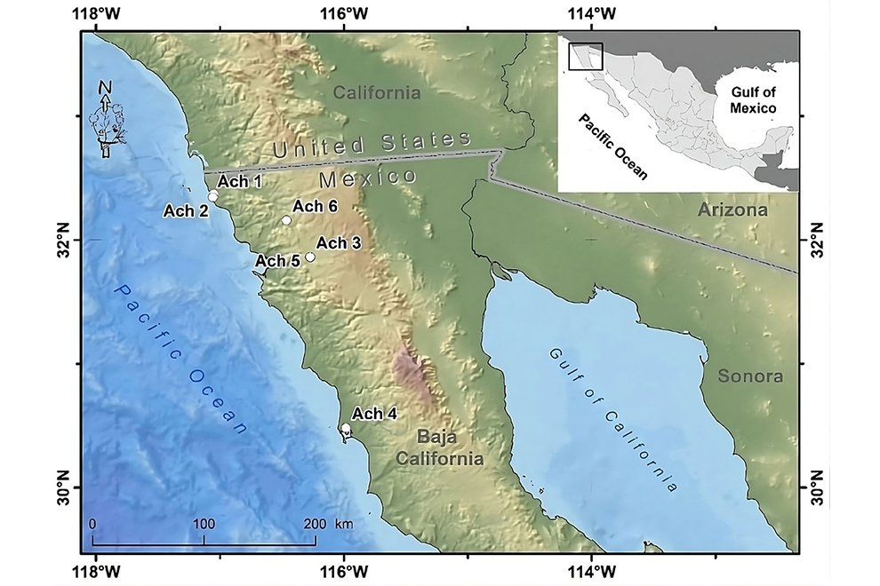 08destaca-Mitogenome-Golden-Eagle-ago-2025