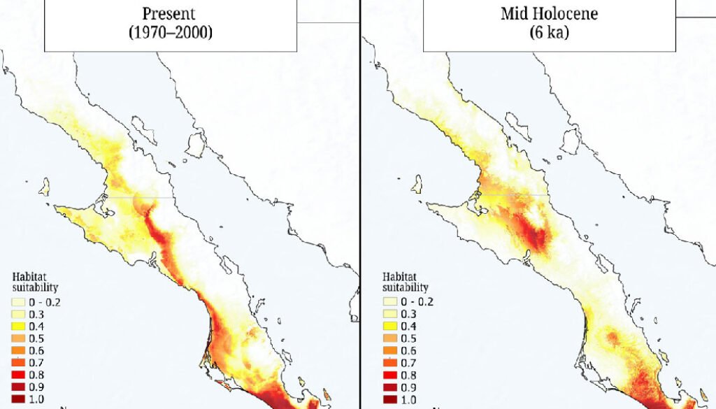 10destaca-Panmictic-population-oct-2025