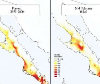 10destaca-Panmictic-population-oct-2025