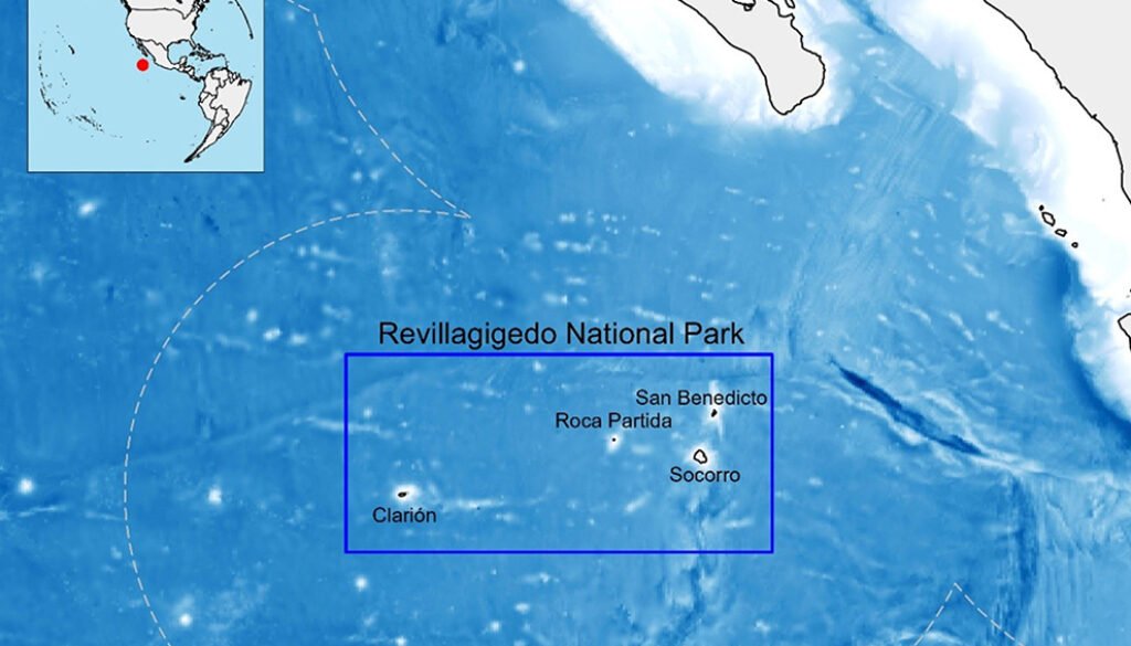 10destaca-The-reef-associated-fishes-ago-2026