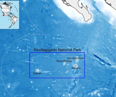 10destaca-The-reef-associated-fishes-ago-2026