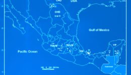 destaca-cryptic-jul2020-2