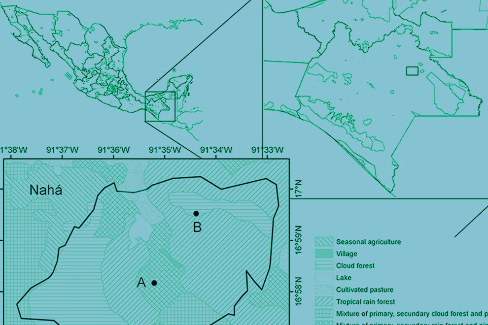 eco-destaca-phenology-jul2020-2