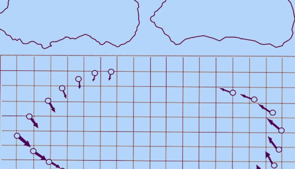 man-destaca-mugil-jul2020