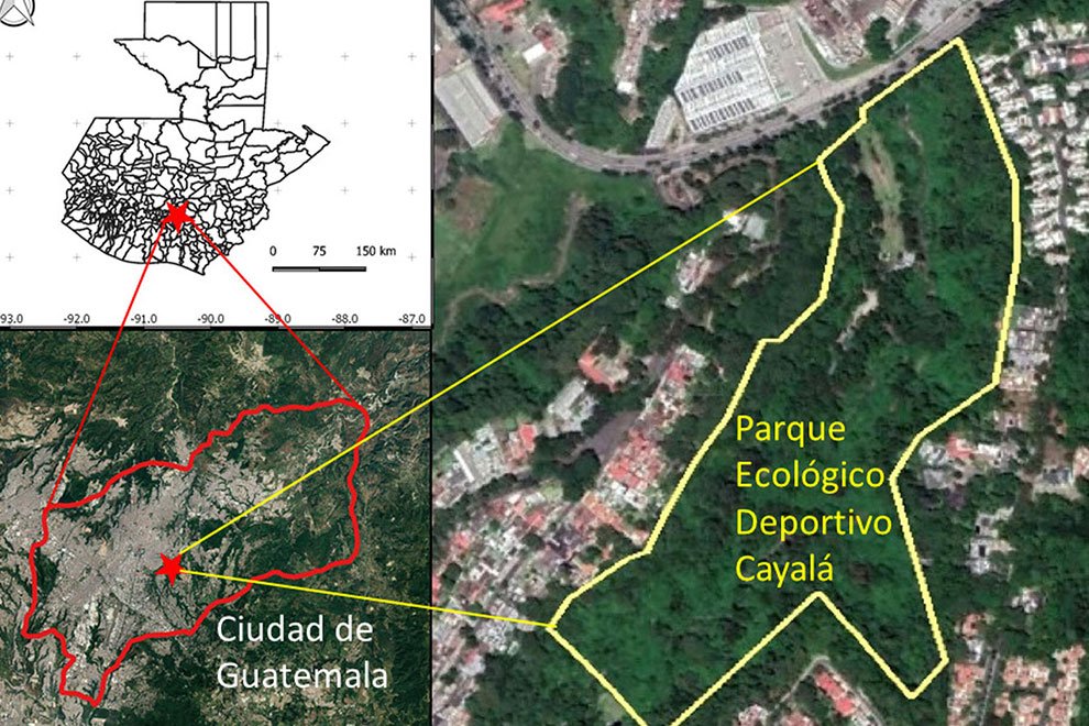 destaca-fauna-abril2021