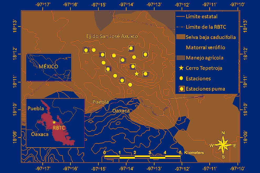 destaca-densidad-puma-sep2021