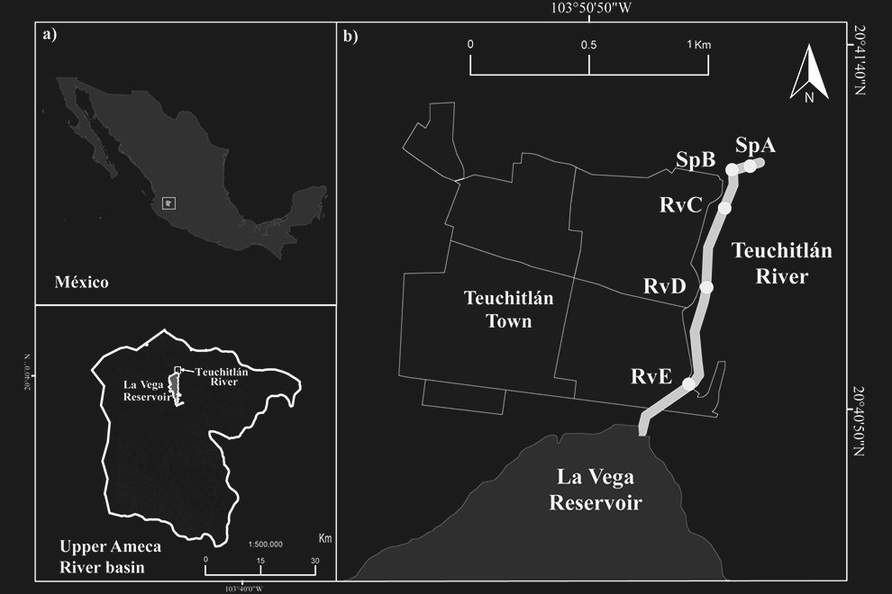 destaca-species-Ampelisca-sep2021