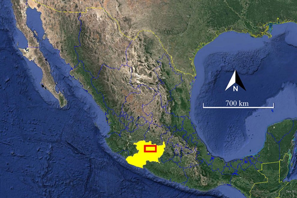 3747destaca-abundancia-aranas-oct2021