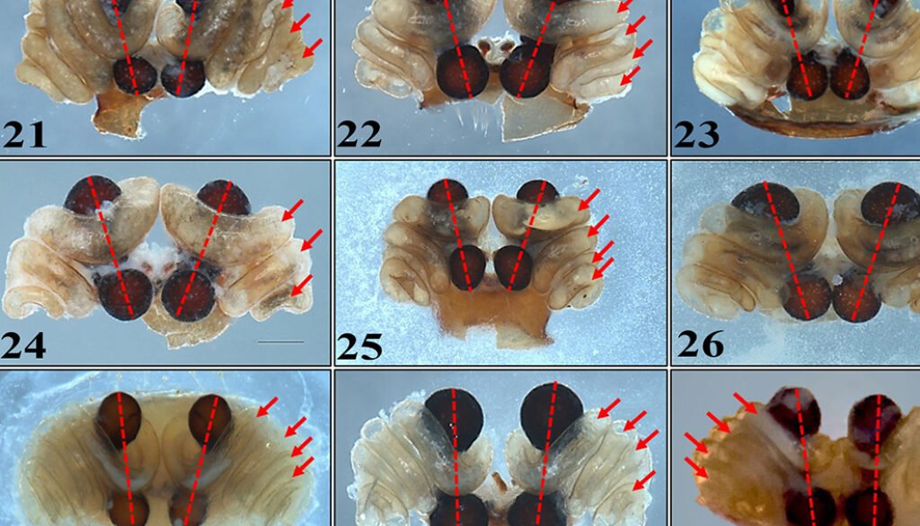 3758destaca-nicho-ecologico-oct2021