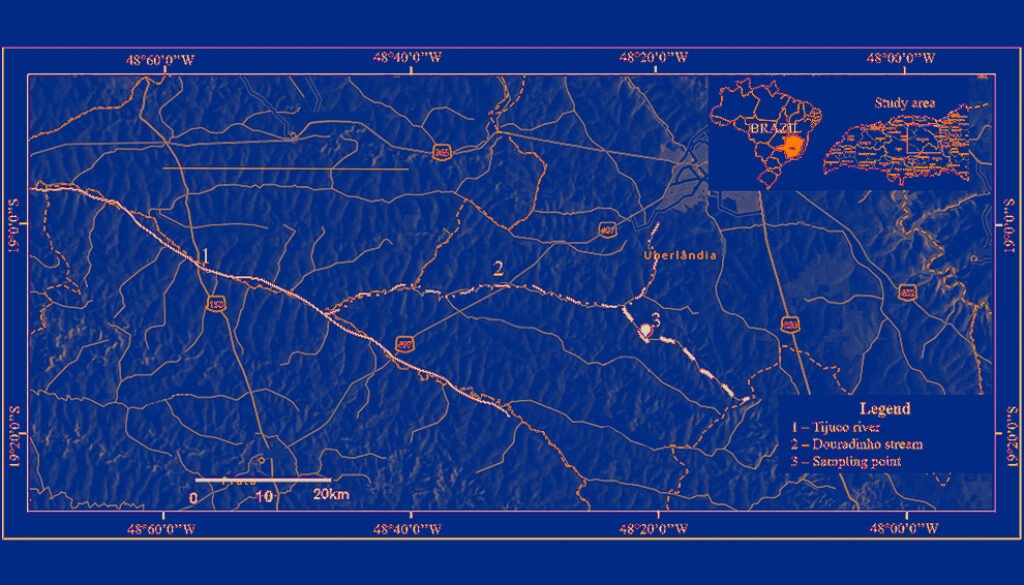 des-mayo2022-growth-and-longevity