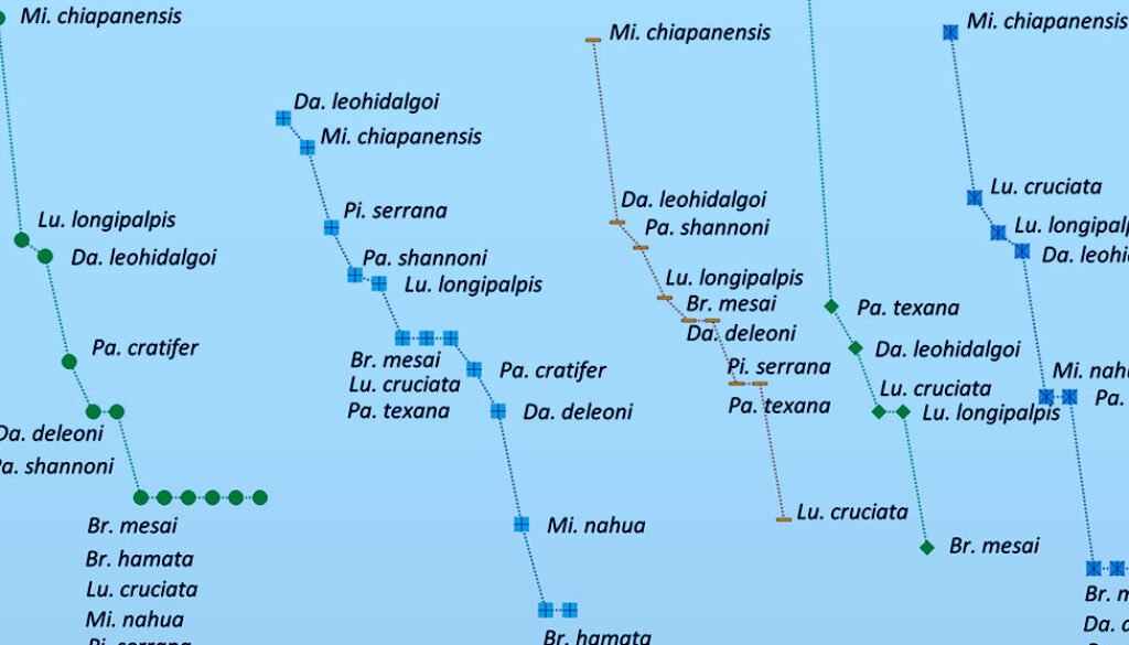 04des-ago-Diversity-and-spatio-temporal