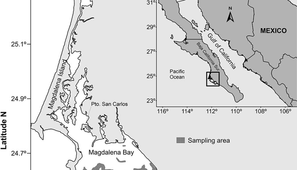 5175destaca-zoogeography-jun-oct-2024