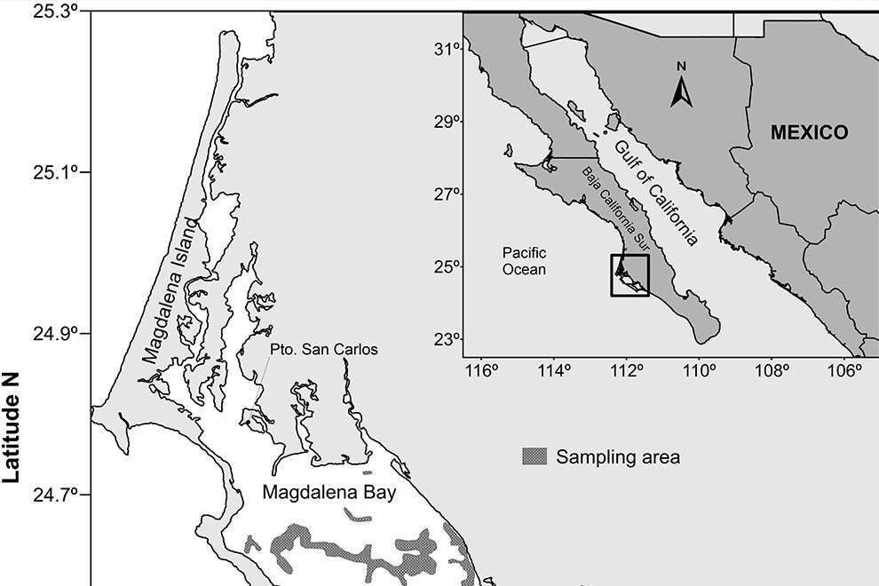 5175destaca-zoogeography-jun-oct-2024