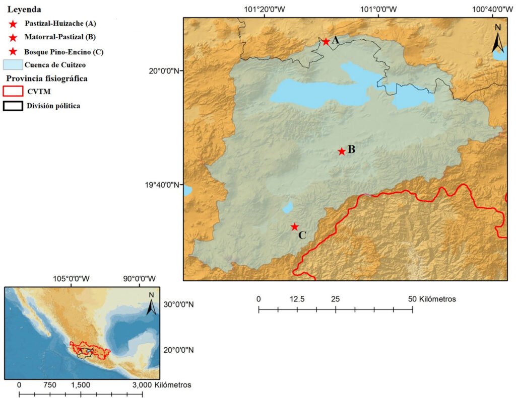Figura 1. Localización de la cuenca de Cuitzeo, los límites se muestran en tono claro azul claro. En azul se indica el lago de Cuitzeo. Hábitats de estudio, A: pastizal-huizache, B: matorral-pastizal, C: bosque de pino-encino. CVTM: Cinturón Volcánico Transmexicano. Mapa elaborado por Alejandro H. Marín-Leyva.